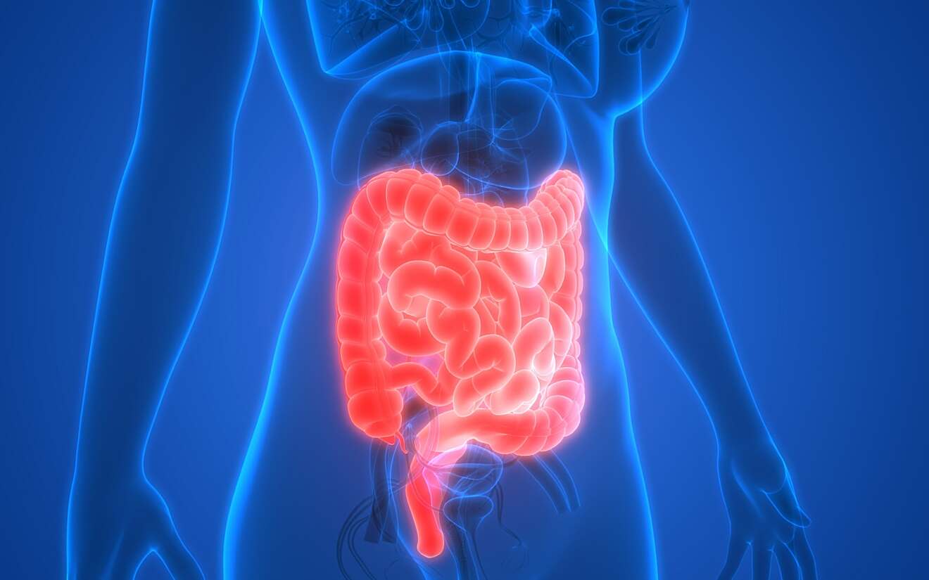 Over de ziekte van Crohn en